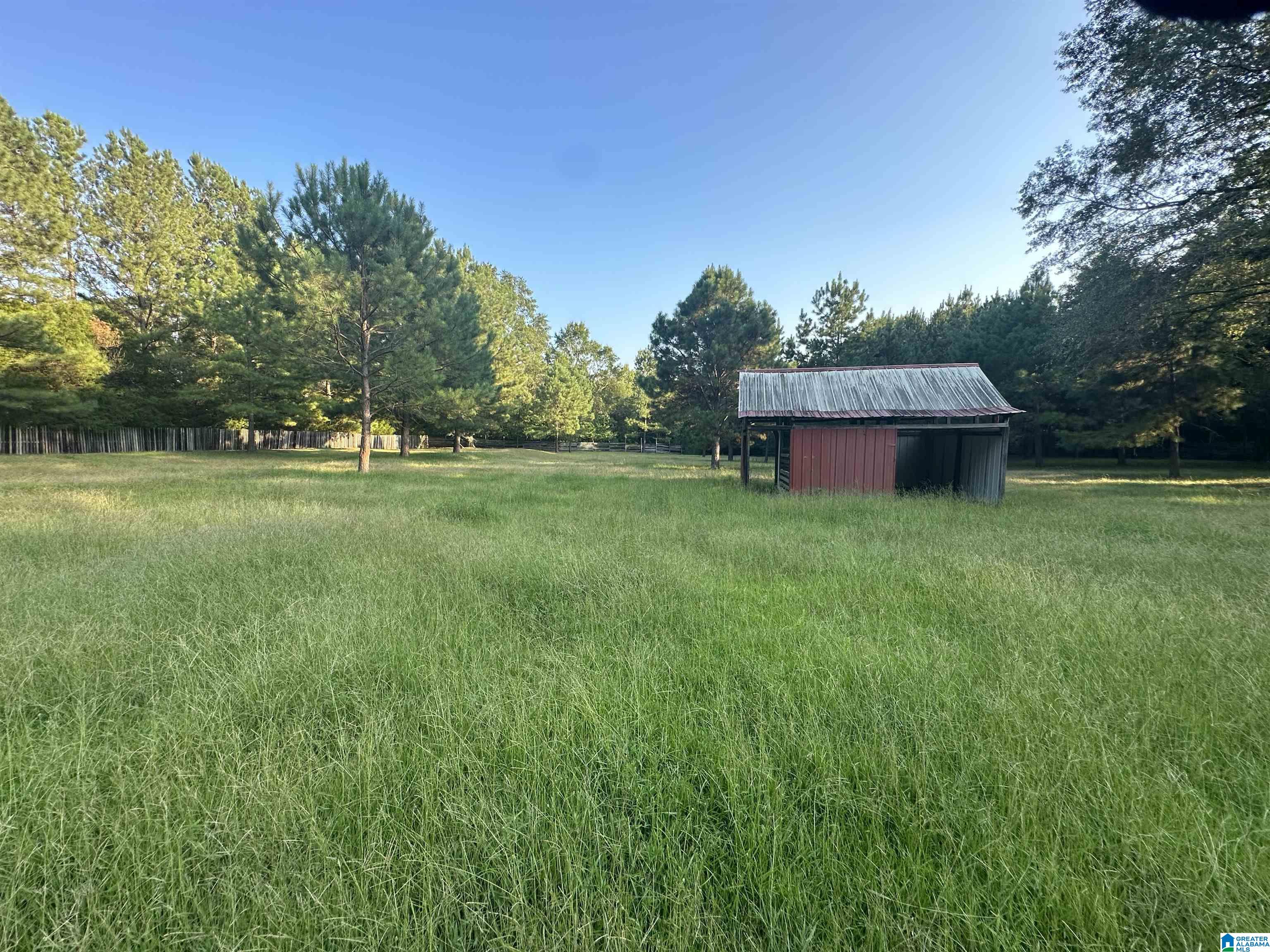 0 Honeycut Road Randolph, AL 36792 - Photo 20 of 29