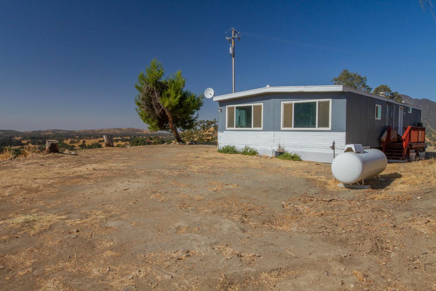 893 Winter Road Squaw Valley, CA 93675 - Photo 24 of 42 a front view of a house with a yard
