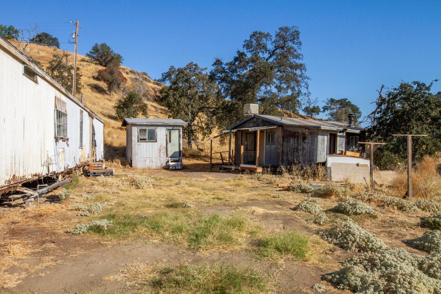 893 Winter Road Squaw Valley, CA 93675 - Photo 26 of 42 a front view of a house with a yard