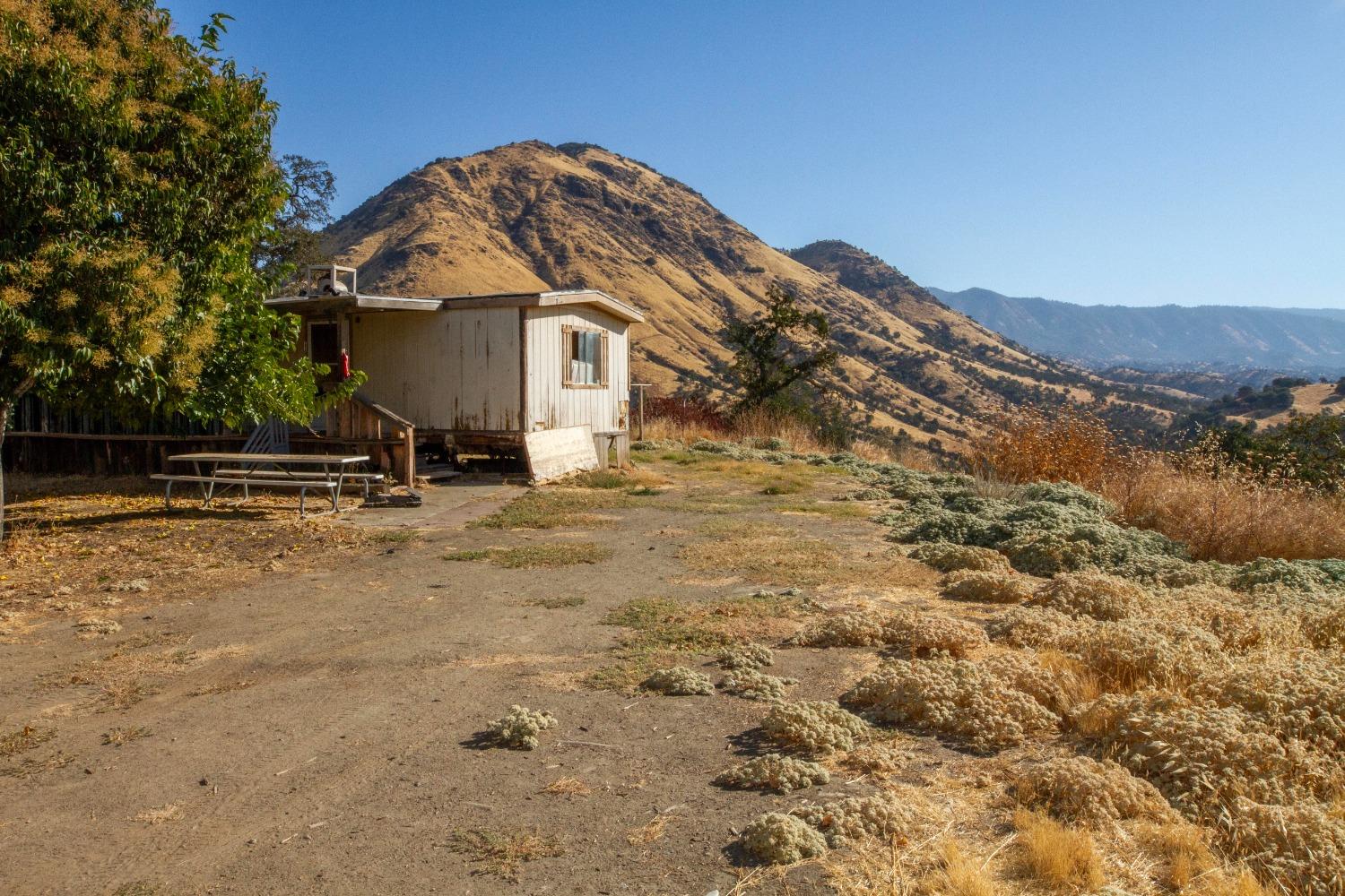 893 Winter Road Squaw Valley, CA 93675 - Photo 29 of 42 a view of a house with a yard