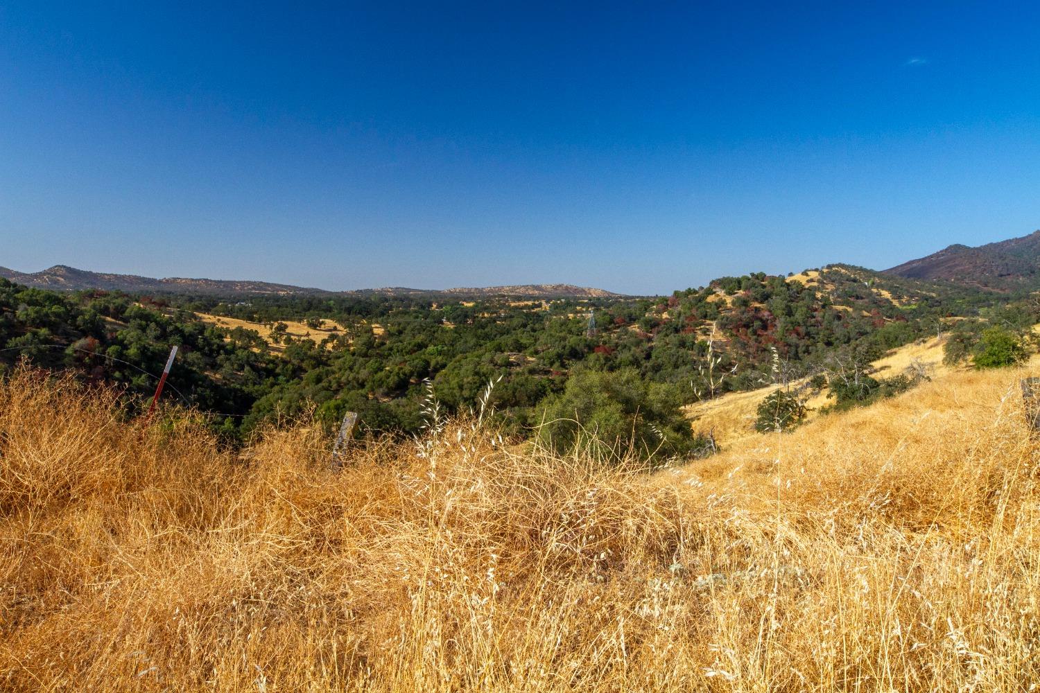 893 Winter Road Squaw Valley, CA 93675 - Photo 36 of 42 a view of ocean