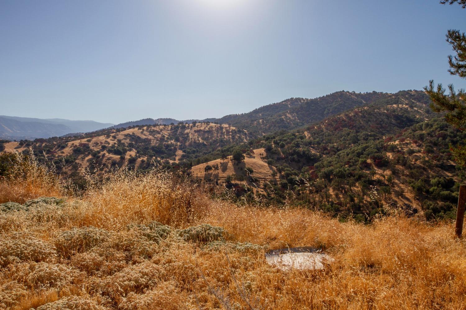 893 Winter Road Squaw Valley, CA 93675 - Photo 37 of 42 a view of a dry yard with mountains in the background