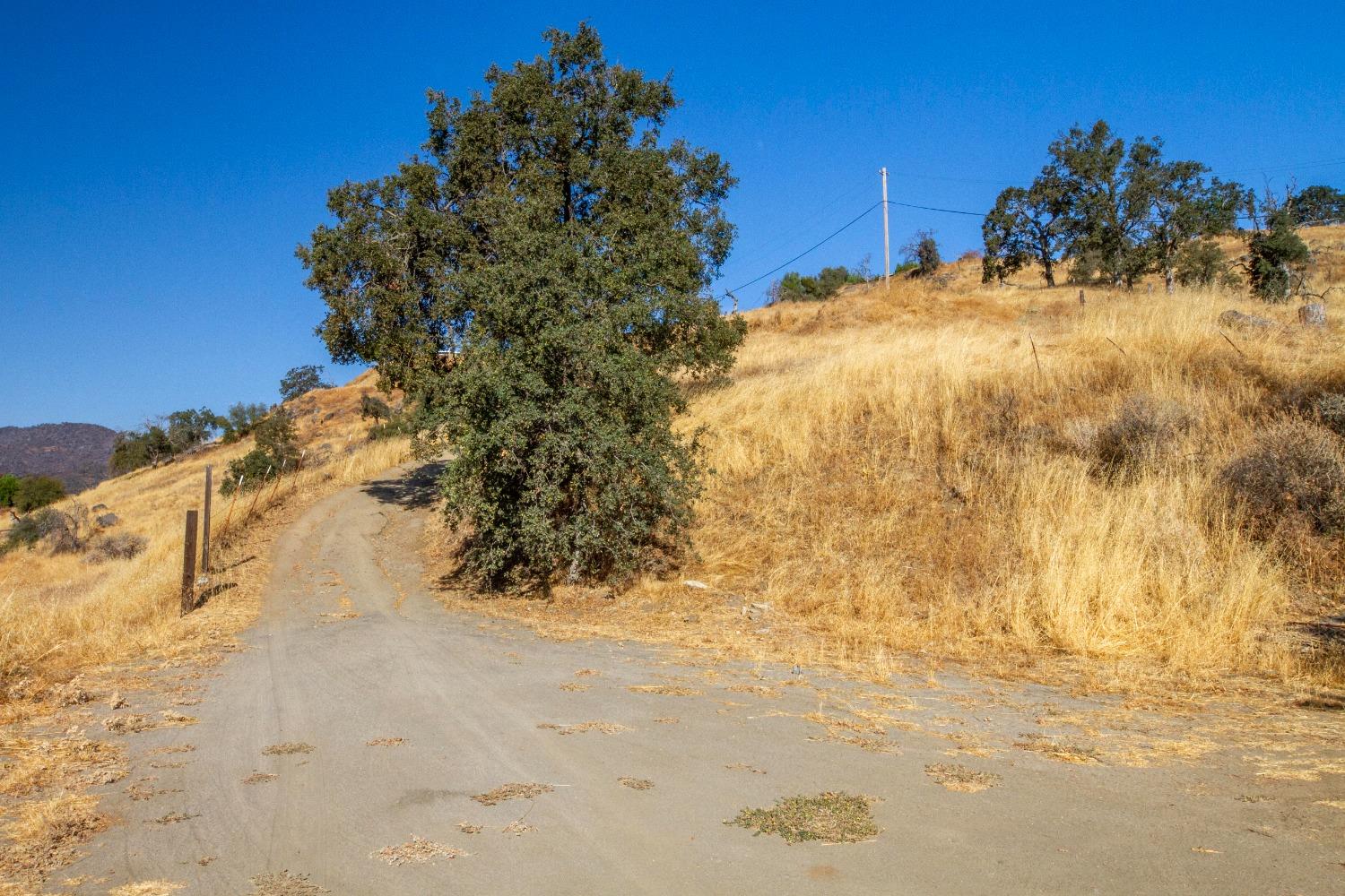 893 Winter Road Squaw Valley, CA 93675 - Photo 38 of 42 a view of a yard