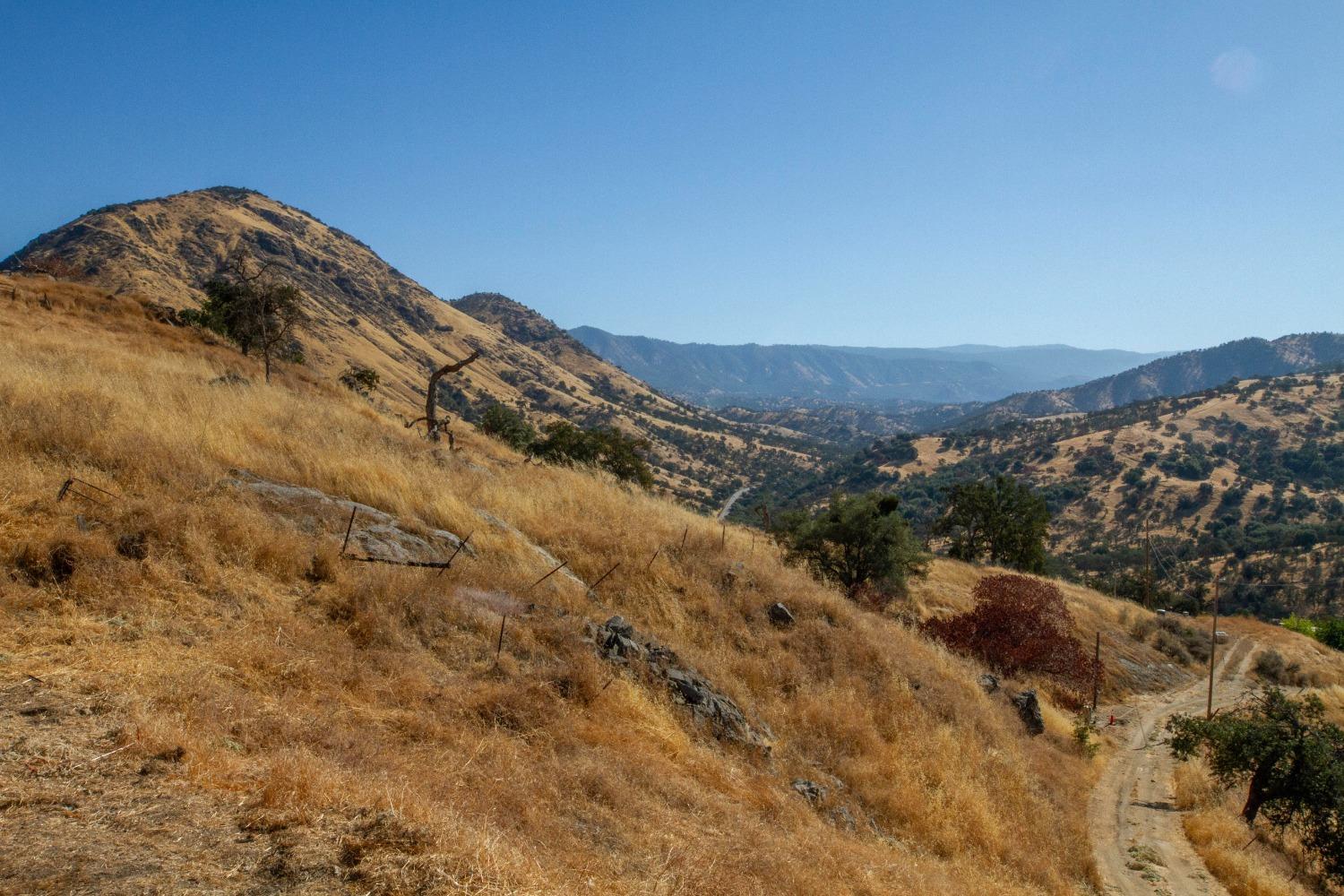 893 Winter Road Squaw Valley, CA 93675 - Photo 42 of 42 a view of a dry yard with mountains in the background