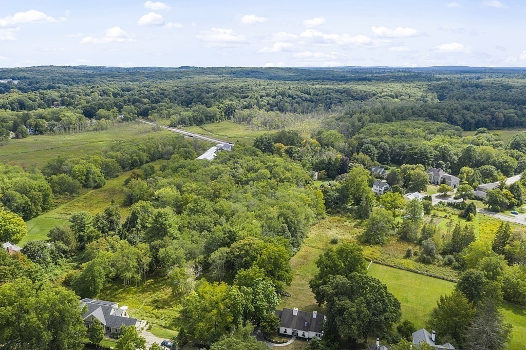 286 Lexington Road Concord, MA 01742 - Photo 41 of 41 a view of a lush green forest with lots of trees