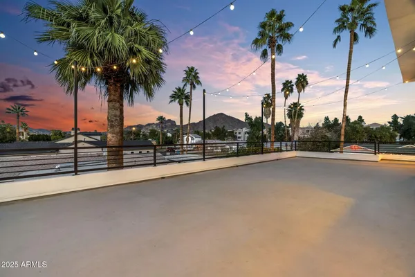 a view of street with a yard and palm trees
