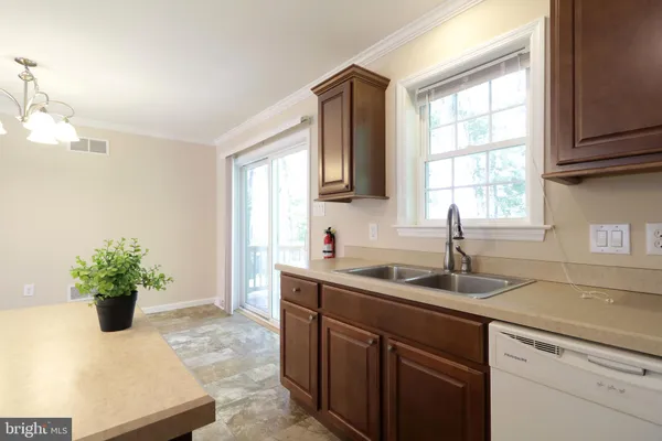 a kitchen with sink cabinets and potted plant