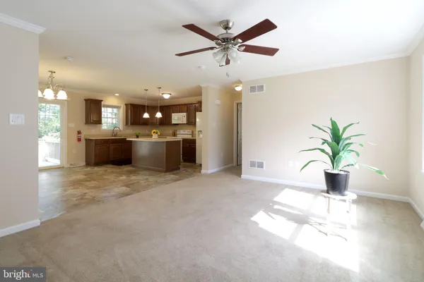 a living room with kitchen and a potted plant