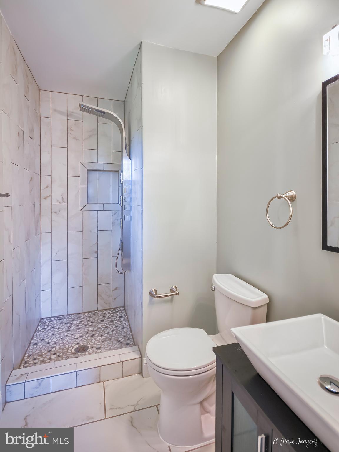 4833 Mt Zion Road Frederick, MD 21703 - Photo 21 of 30 Custom Shower in Master
