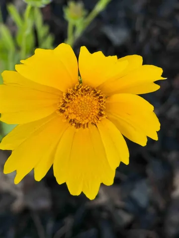 $1,850,000 | 4043 Serenbe, Middleton, WI 53562