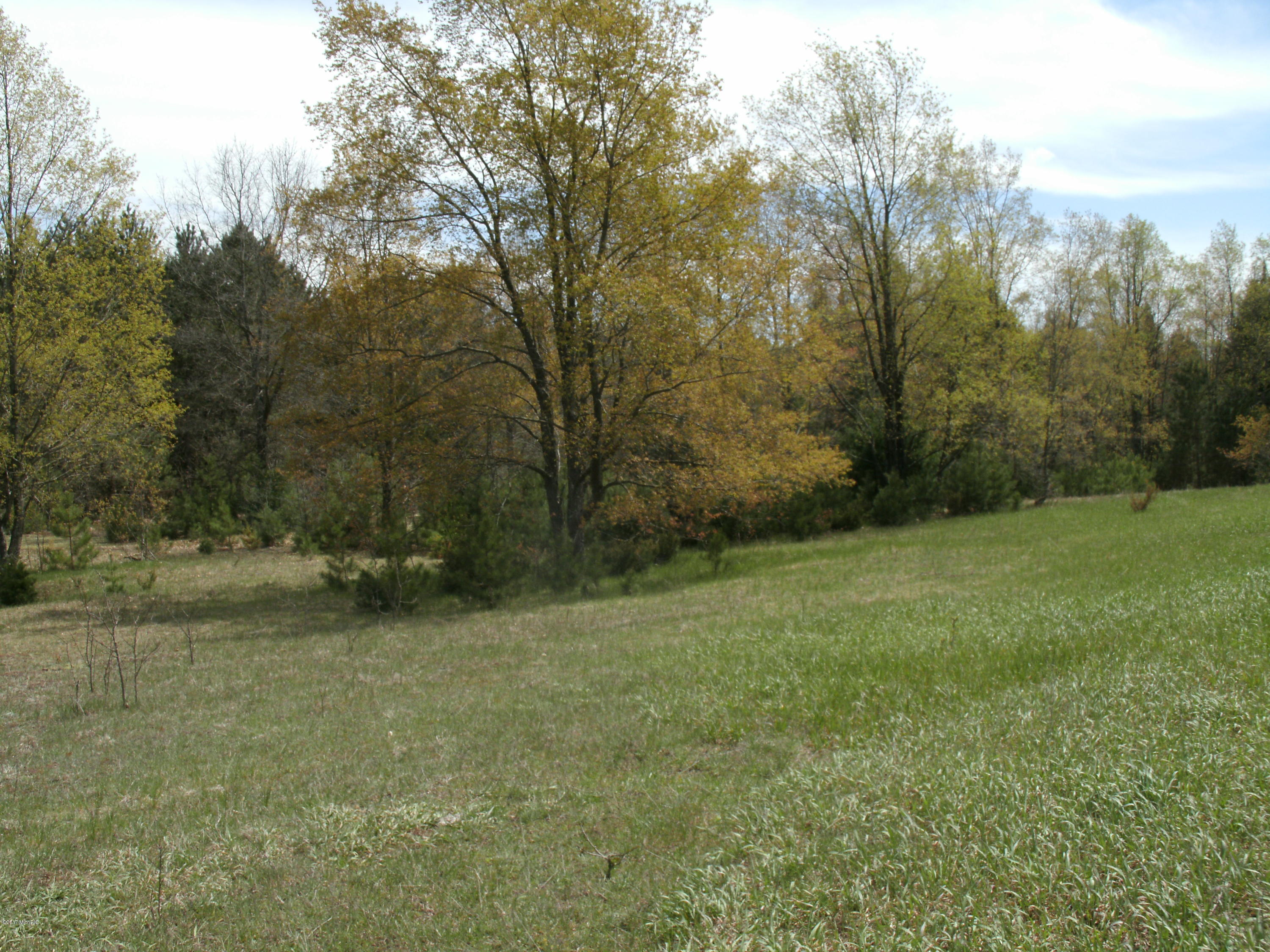 8625 McMartin Road Kaleva, MI 49645 - Photo 3 of 18 GEDC0004