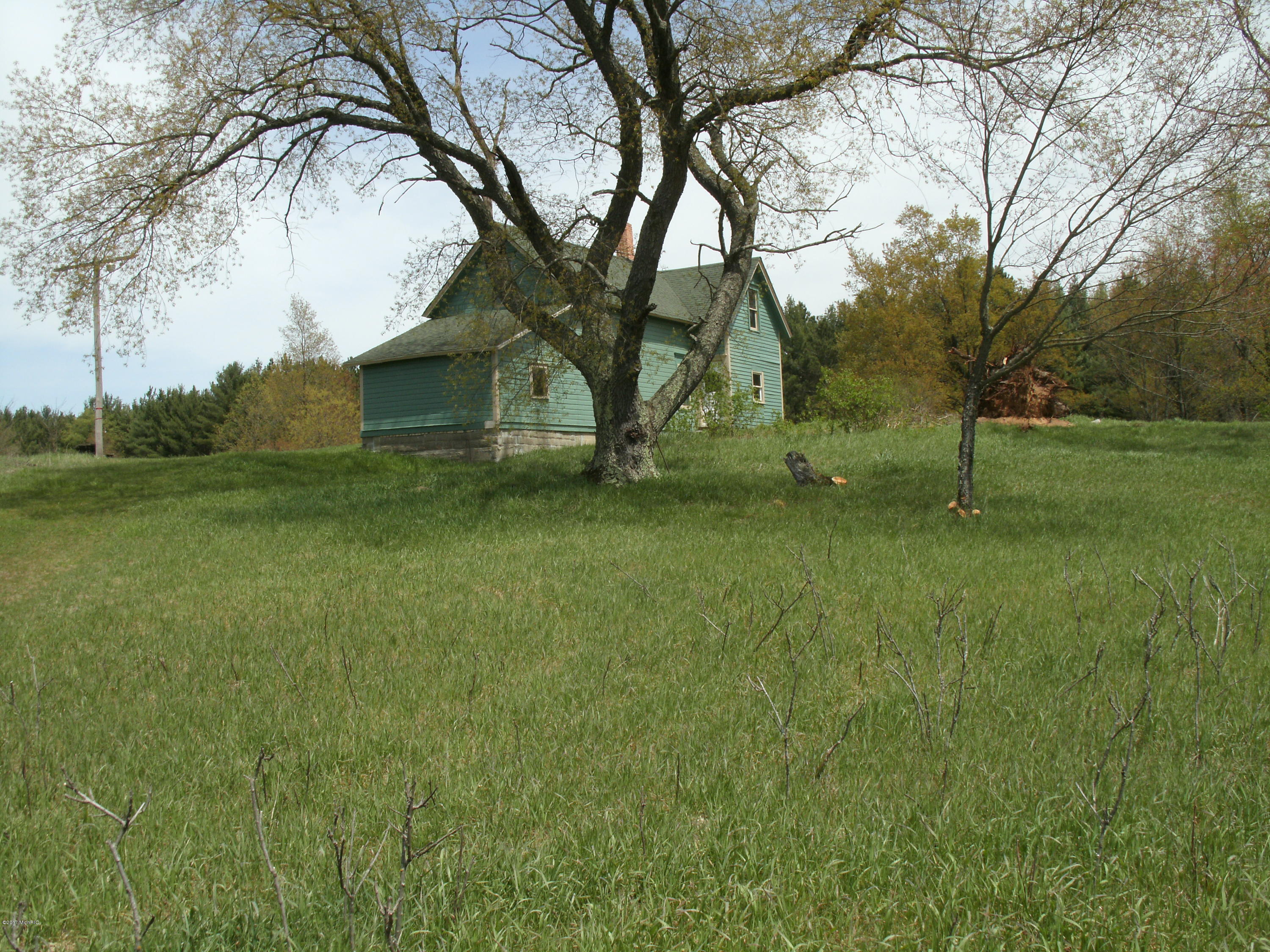 8625 McMartin Road Kaleva, MI 49645 - Photo 4 of 18 GEDC0001