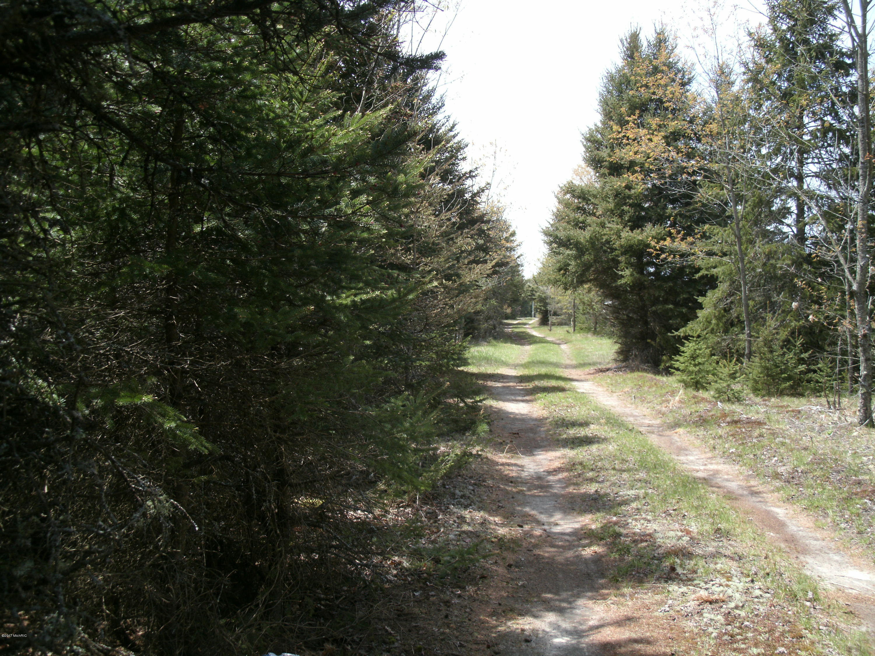 8625 McMartin Road Kaleva, MI 49645 - Photo 8 of 18 GEDC0007