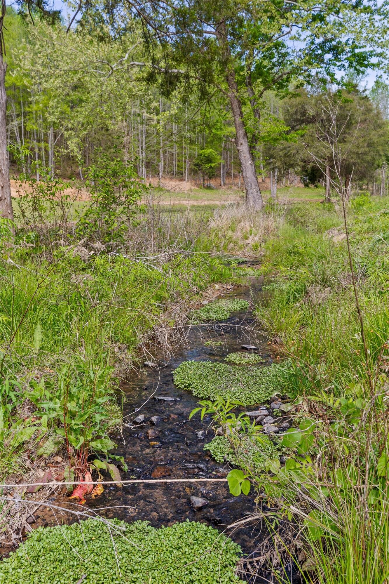 335 County Road 188 Decatur, TN 37322 - Photo 30 of 53 30-Co Rd 188-29
