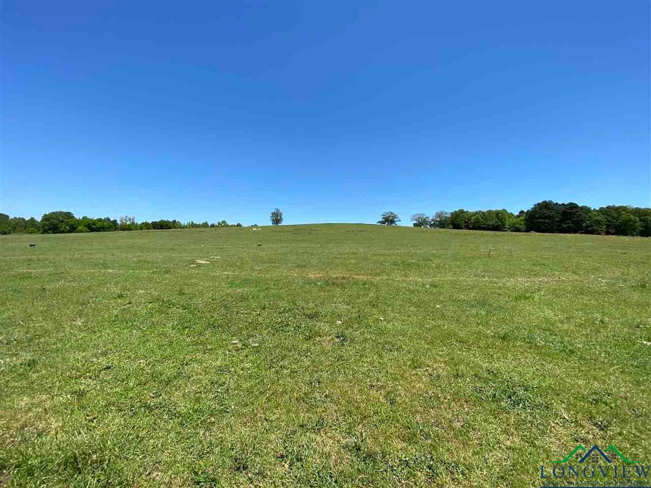 Tbd Orchid Road Ore City, TX 75683 - Photo 34 of 36 Gallery Image 34