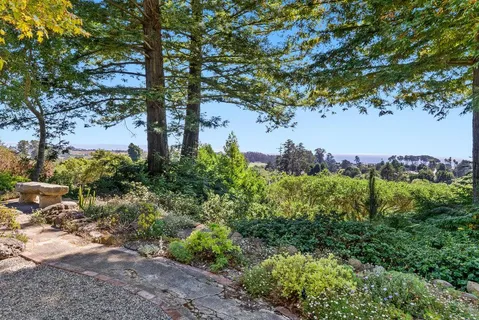 a view of a house with a yard and garden