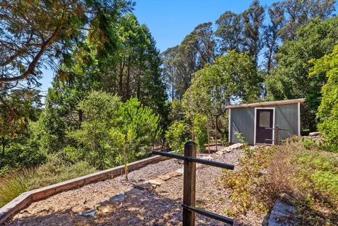 a view of a garden with plants