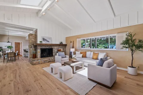 a living room with furniture a fireplace and a potted plant
