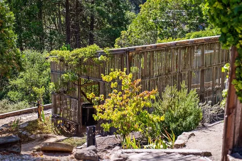 a view of a patio with a table and chairs under an umbrella