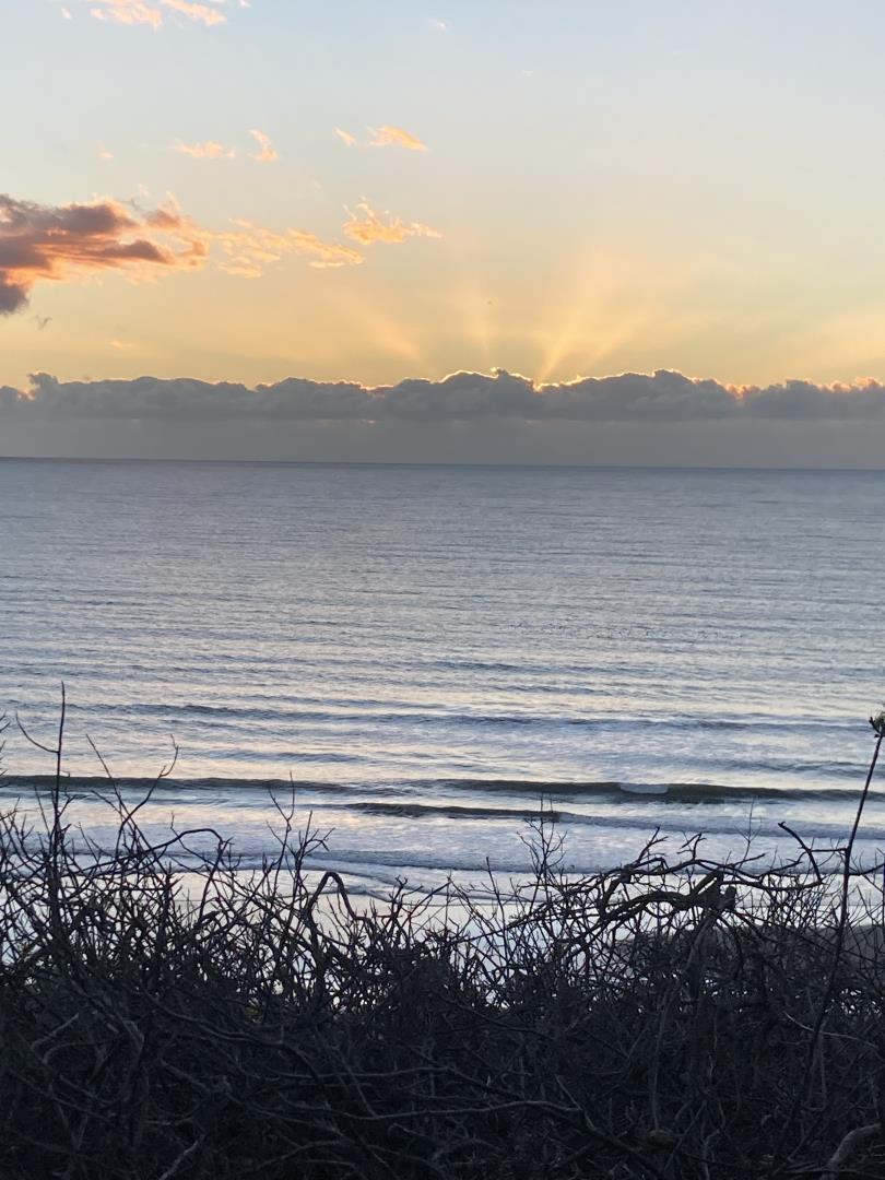 33 Aqua View Drive Watsonville, CA 95076 - Photo 49 of 51 a view of a yard