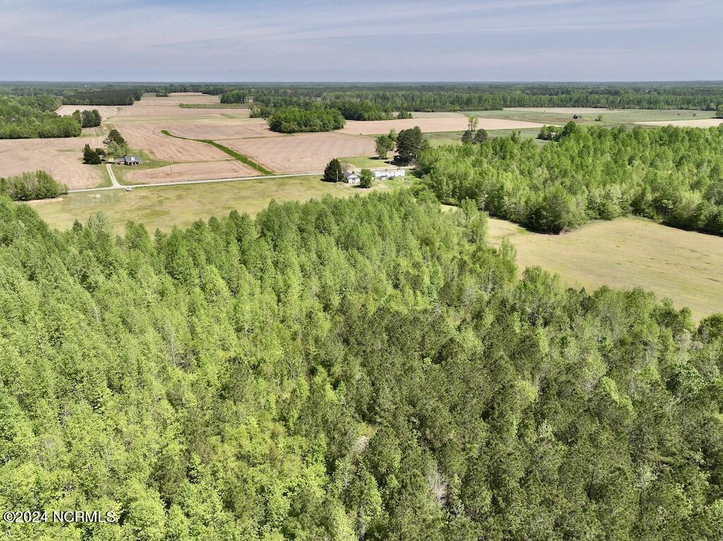 0 Fire Tower Road Jackson, NC 27845 - Photo 10 of 31 11