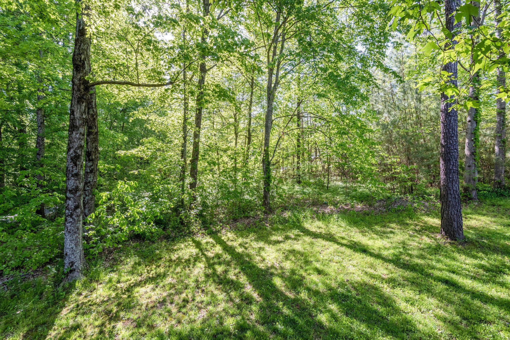 700 Jones Creek Road Dickson, TN 37055 - Photo 26 of 26 Gallery Image 26