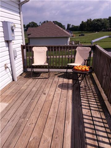 141 Addison Hollow Road Lafayette, TN 37083 - Photo 3 of 12