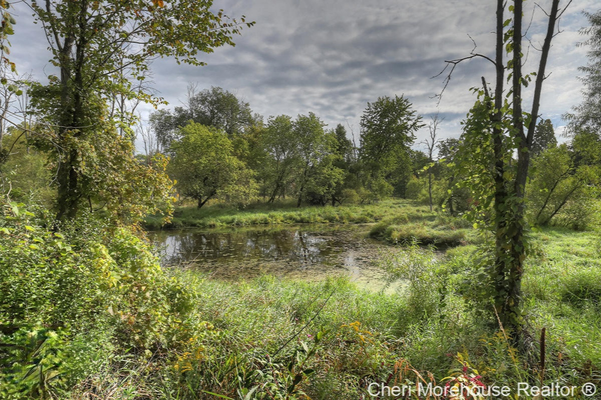 6968 Rivers Edge Lane Middleville, MI 49333 - Photo 49 of 53 IMG_7016