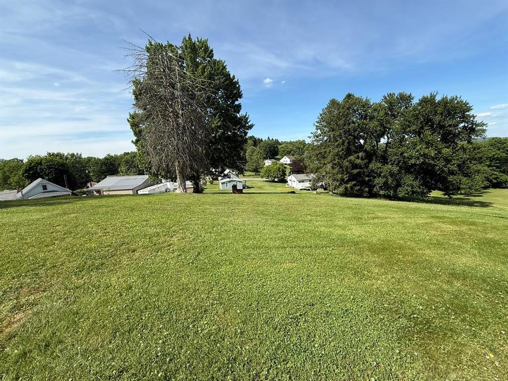 222 Bagdad Road Leechburg, PA 15656 - Photo 11 of 23 a view of a field of grass and trees