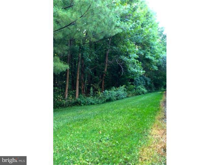 44 Windsor Pond Road Princeton Junction, NJ 08550 - Photo 15 of 23 Gallery Image 15
