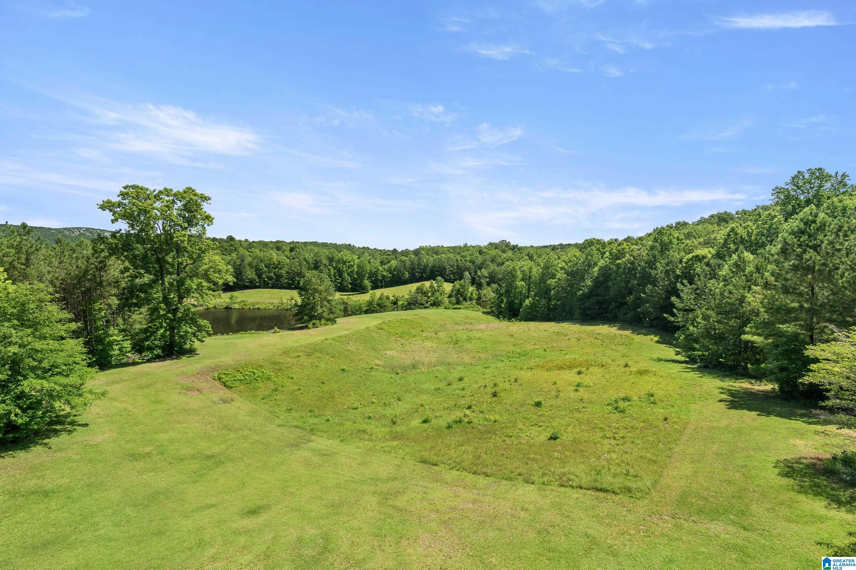 320 Wolf Pen Ridge Road Pell City, AL 35128 - Photo 52 of 100