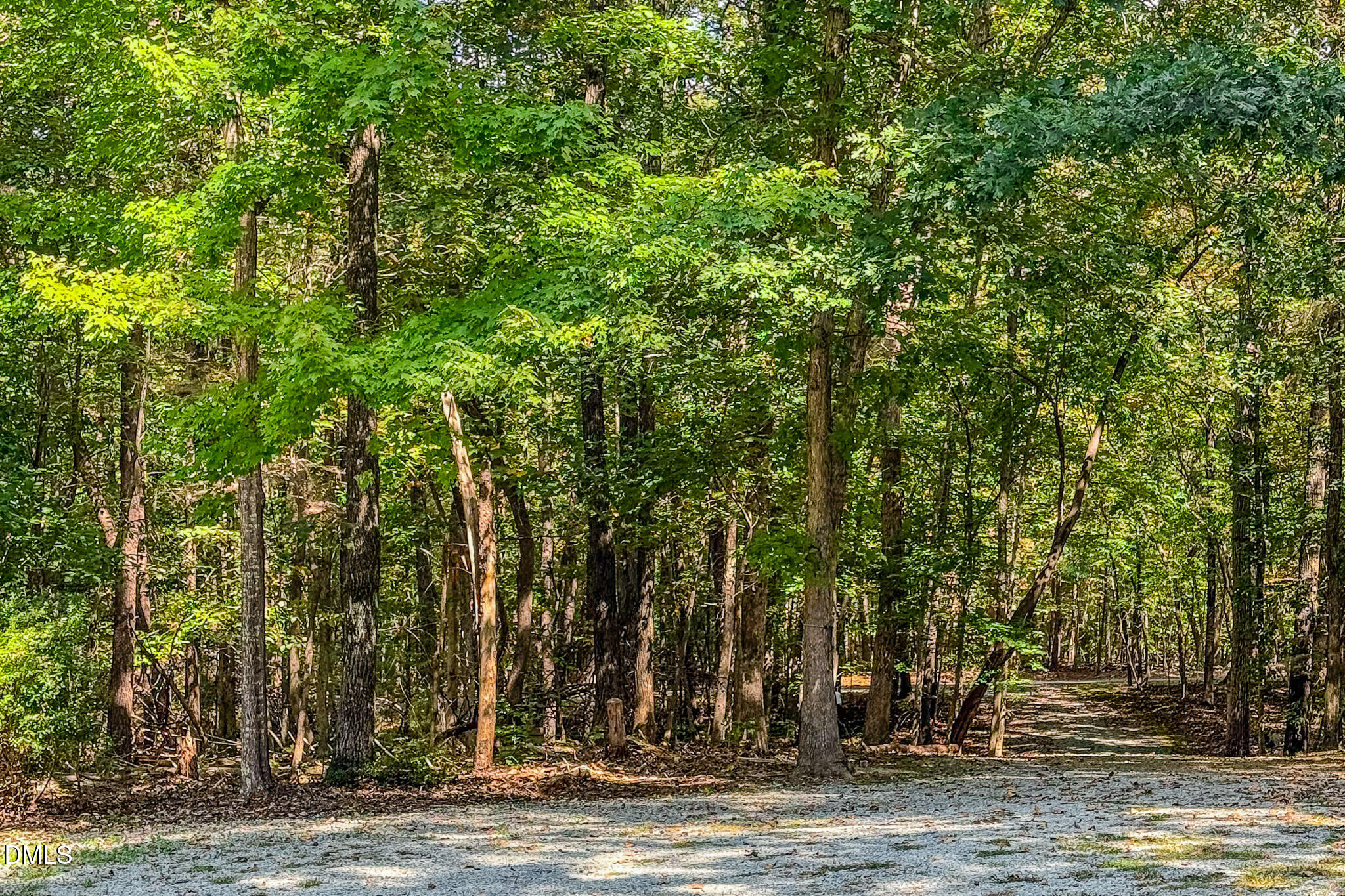 7607 Deer Crossing Road Rougemont, NC 27572 - Photo 26 of 37 25