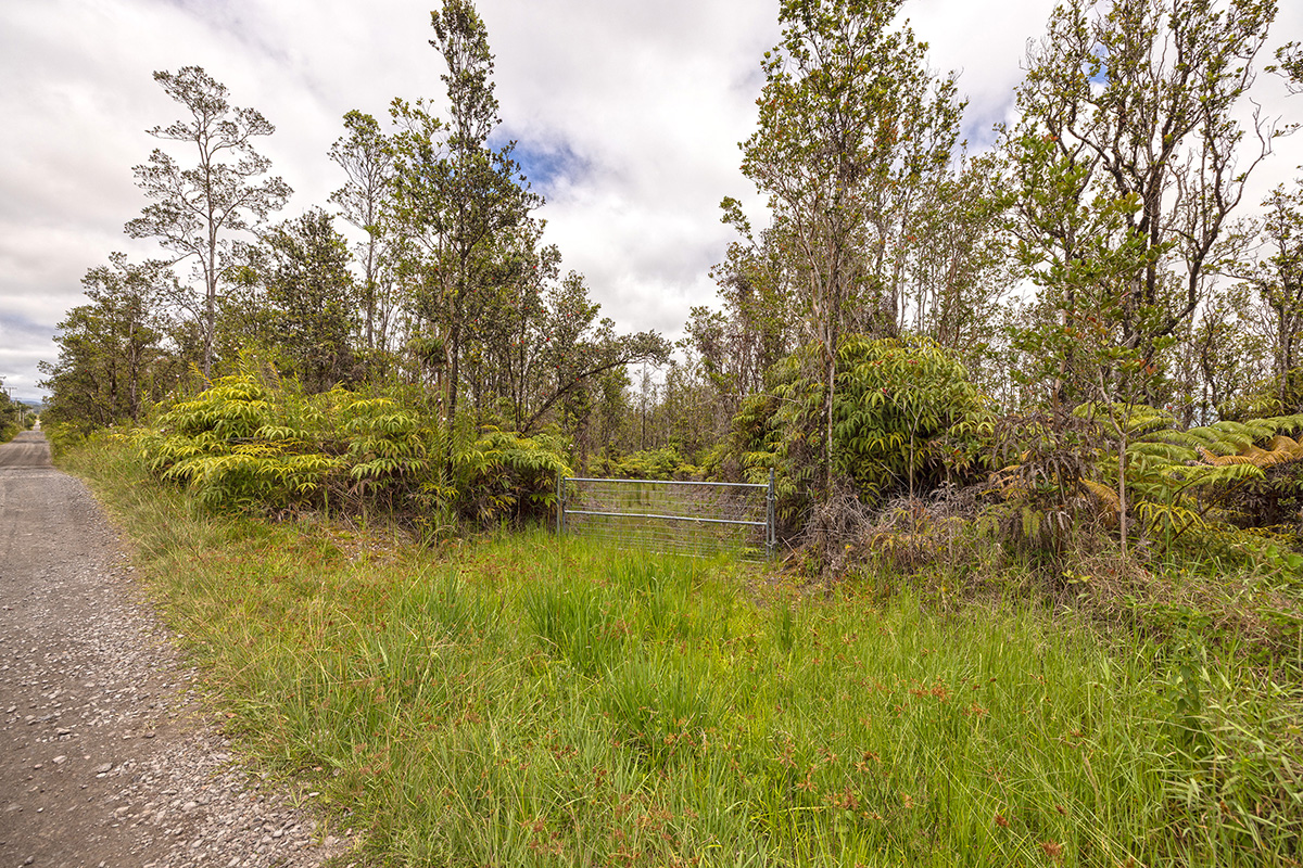 3 Uluhemalu Road Mountain View, HI 96771 - Photo 14 of 16 Gallery Image 14