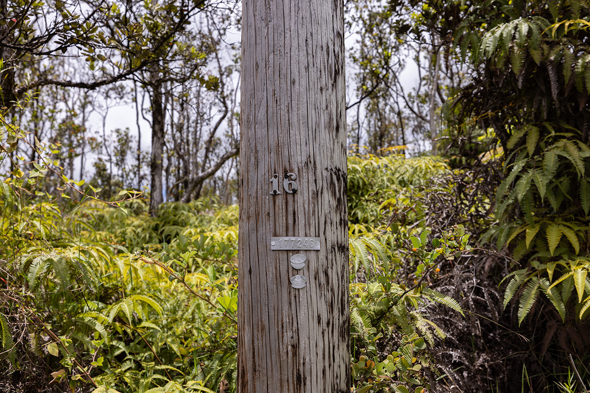3 Uluhemalu Road Mountain View, HI 96771 - Photo 15 of 16 Gallery Image 15
