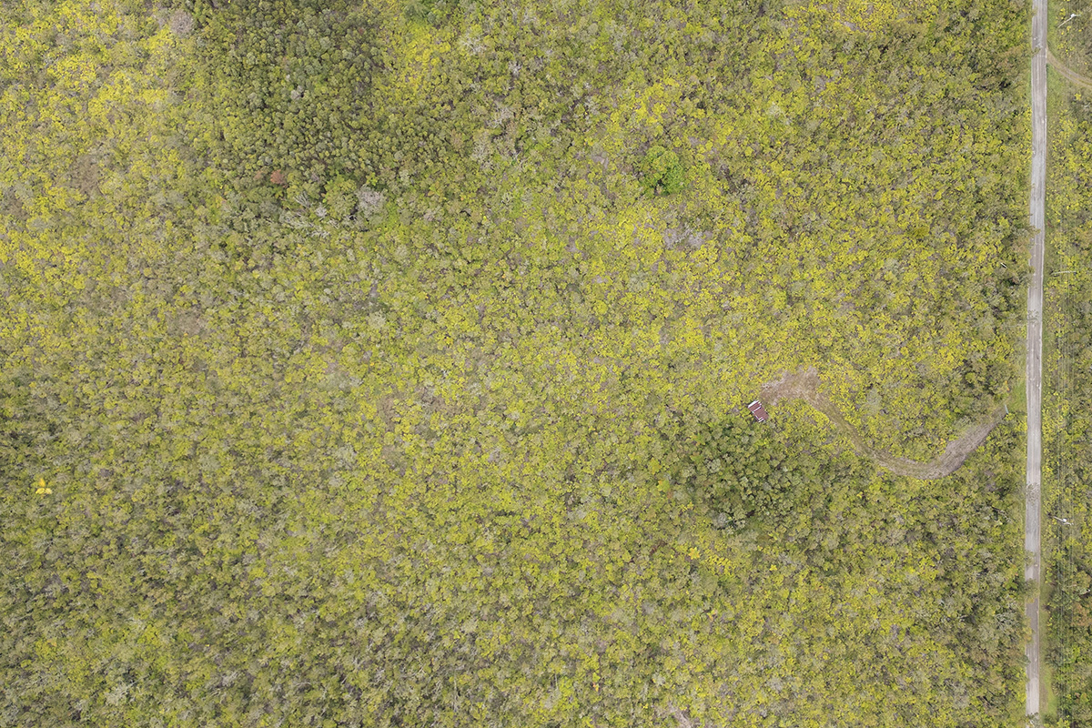 3 Uluhemalu Road Mountain View, HI 96771 - Photo 9 of 16 Gallery Image 9