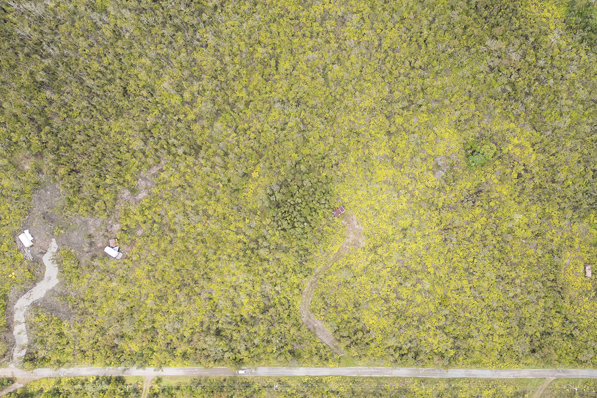 3 Uluhemalu Road Mountain View, HI 96771 - Photo 10 of 16 Gallery Image 10