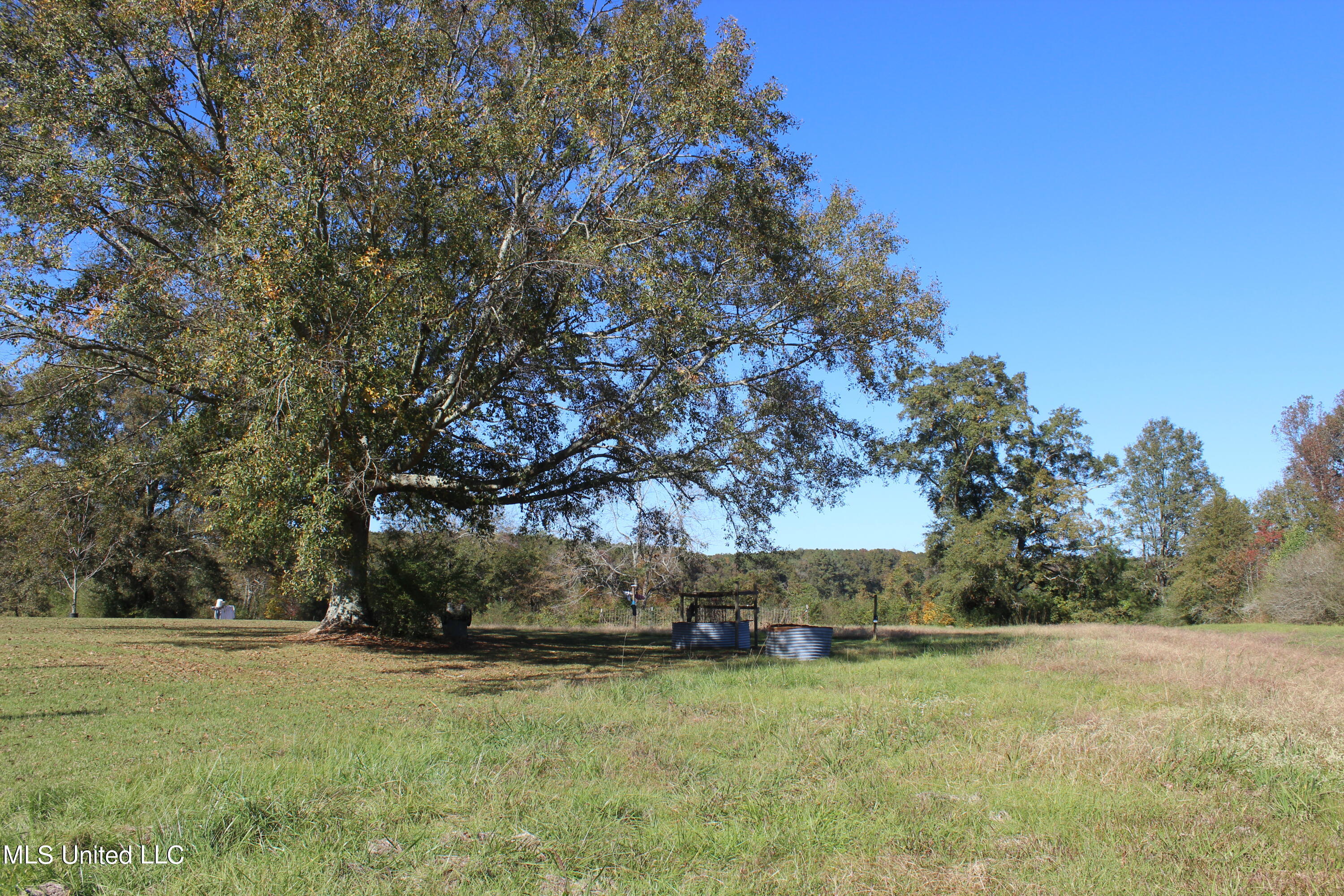 7371 Old Hillsboro Road Forest, MS 39074 - Photo 14 of 67 10c.