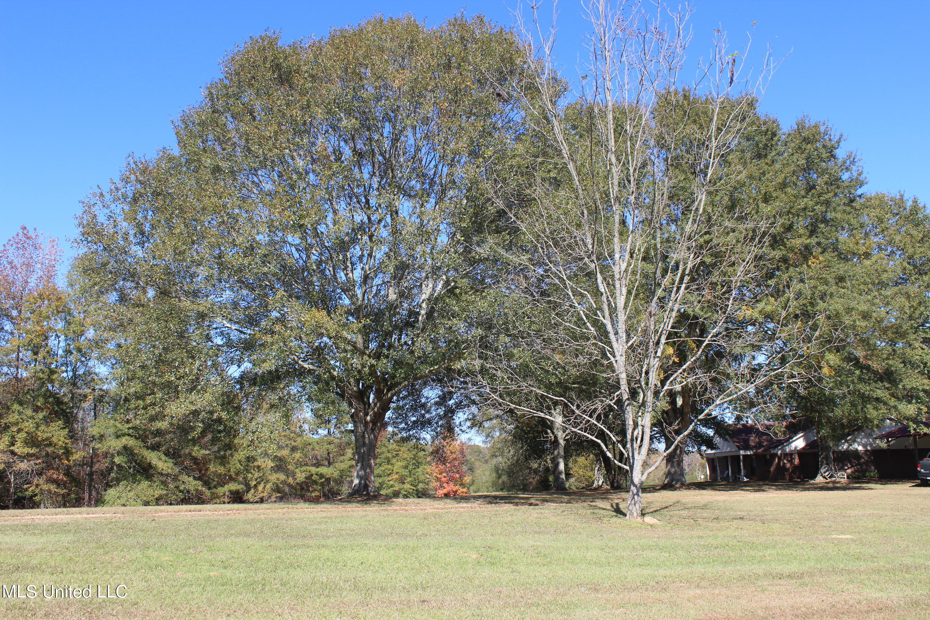 7371 Old Hillsboro Road Forest, MS 39074 - Photo 33 of 67 12.