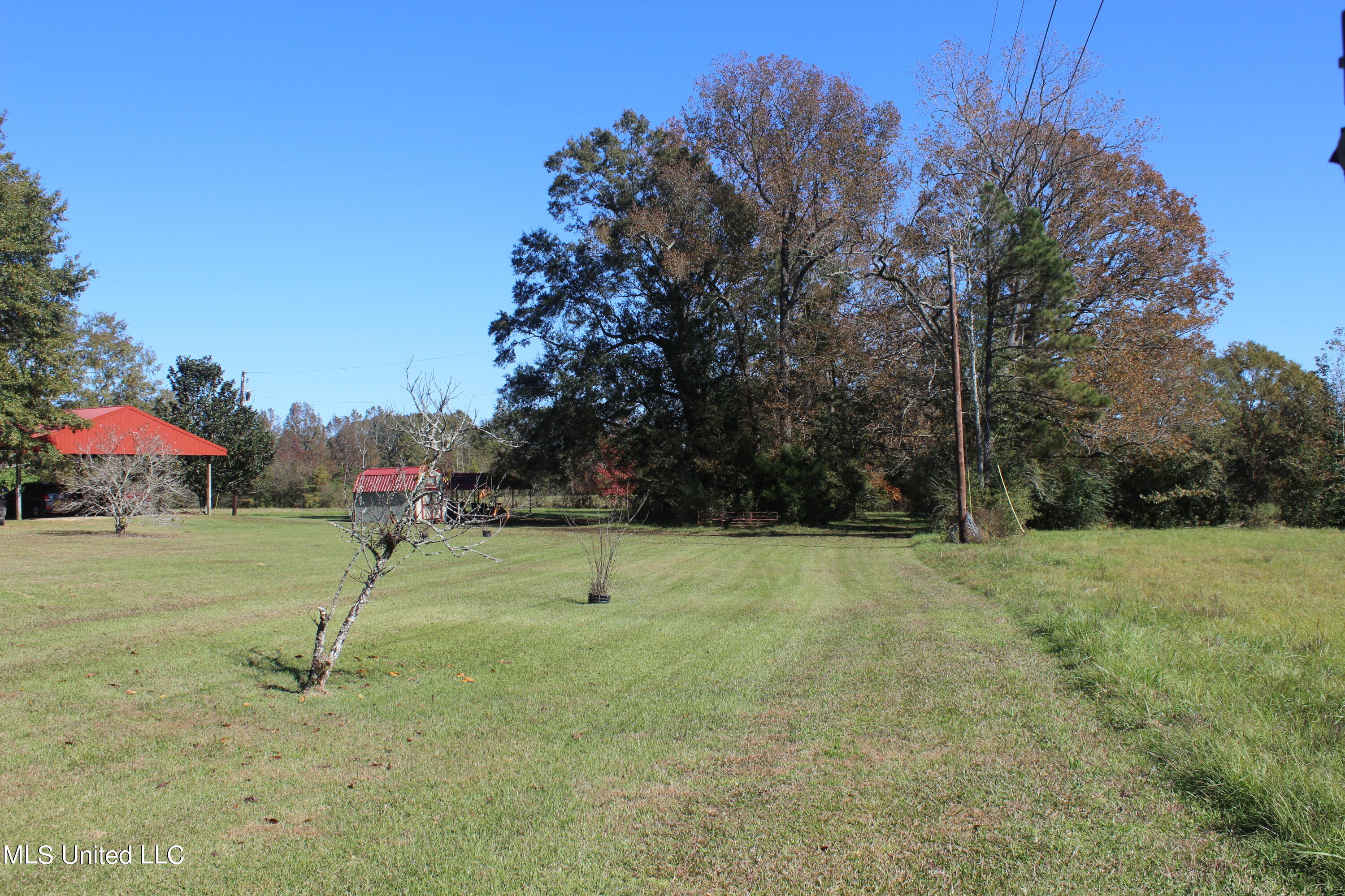 7371 Old Hillsboro Road Forest, MS 39074 - Photo 34 of 67 13.