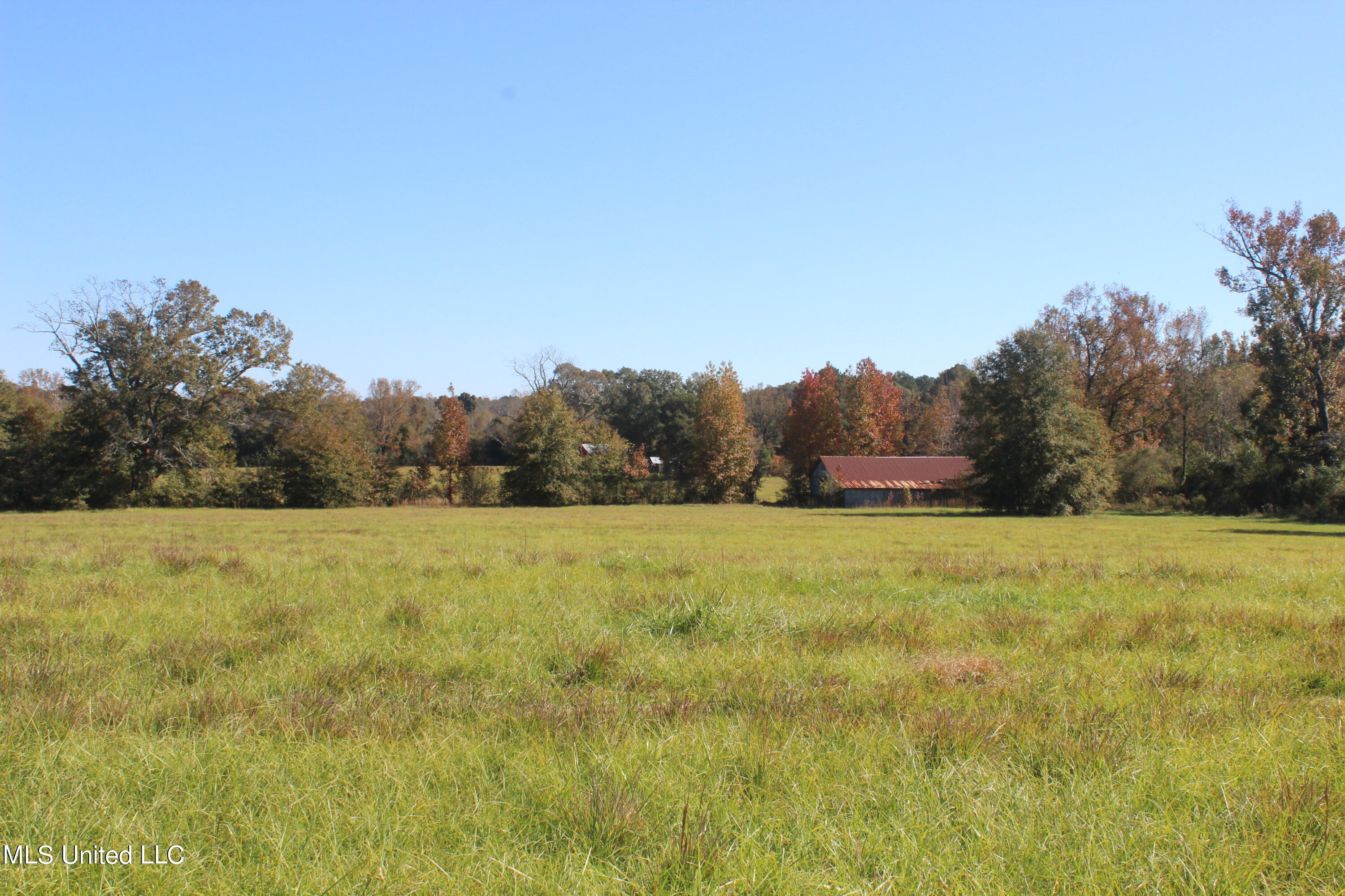 7371 Old Hillsboro Road Forest, MS 39074 - Photo 39 of 67 18.