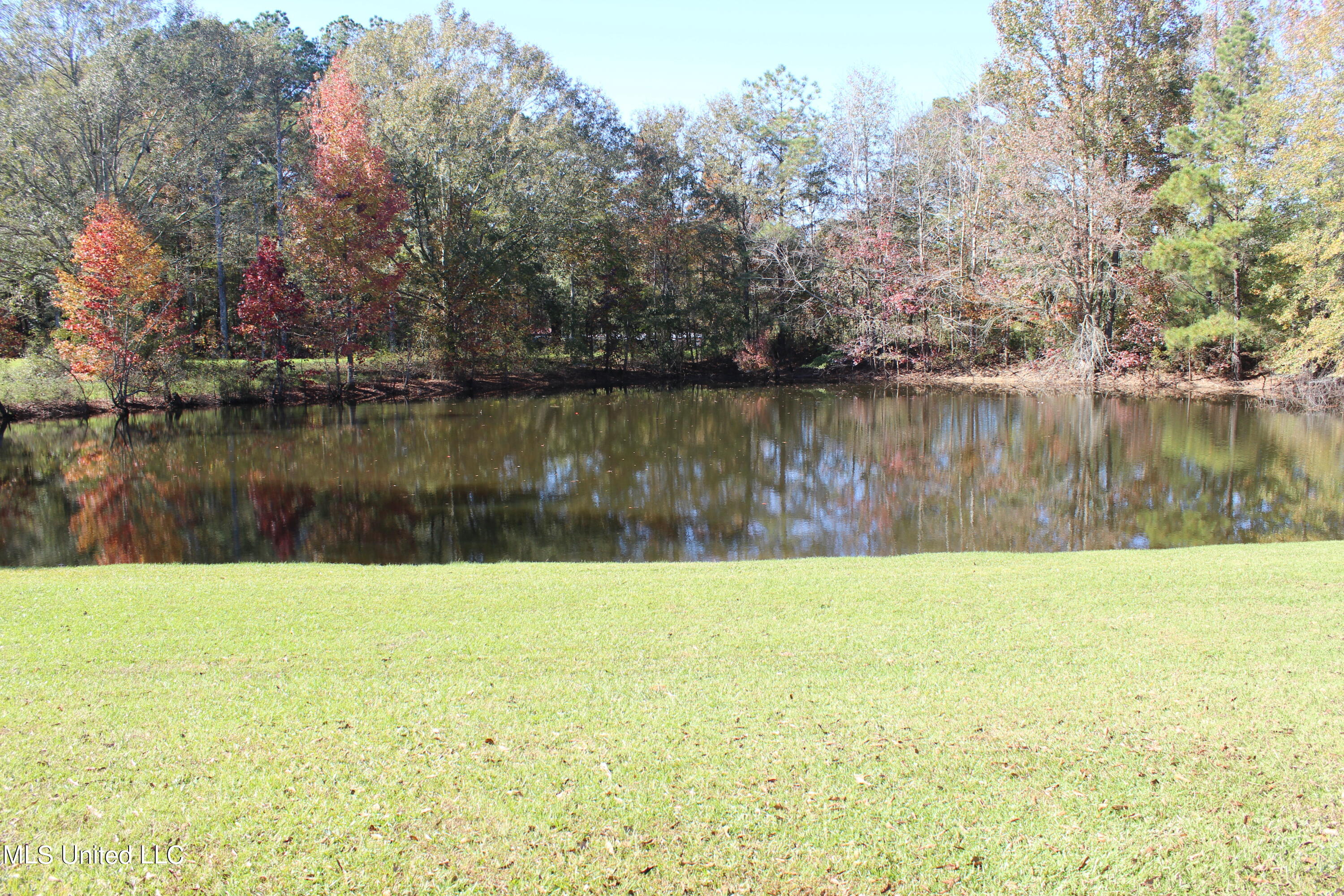 7371 Old Hillsboro Road Forest, MS 39074 - Photo 4 of 67 3.
