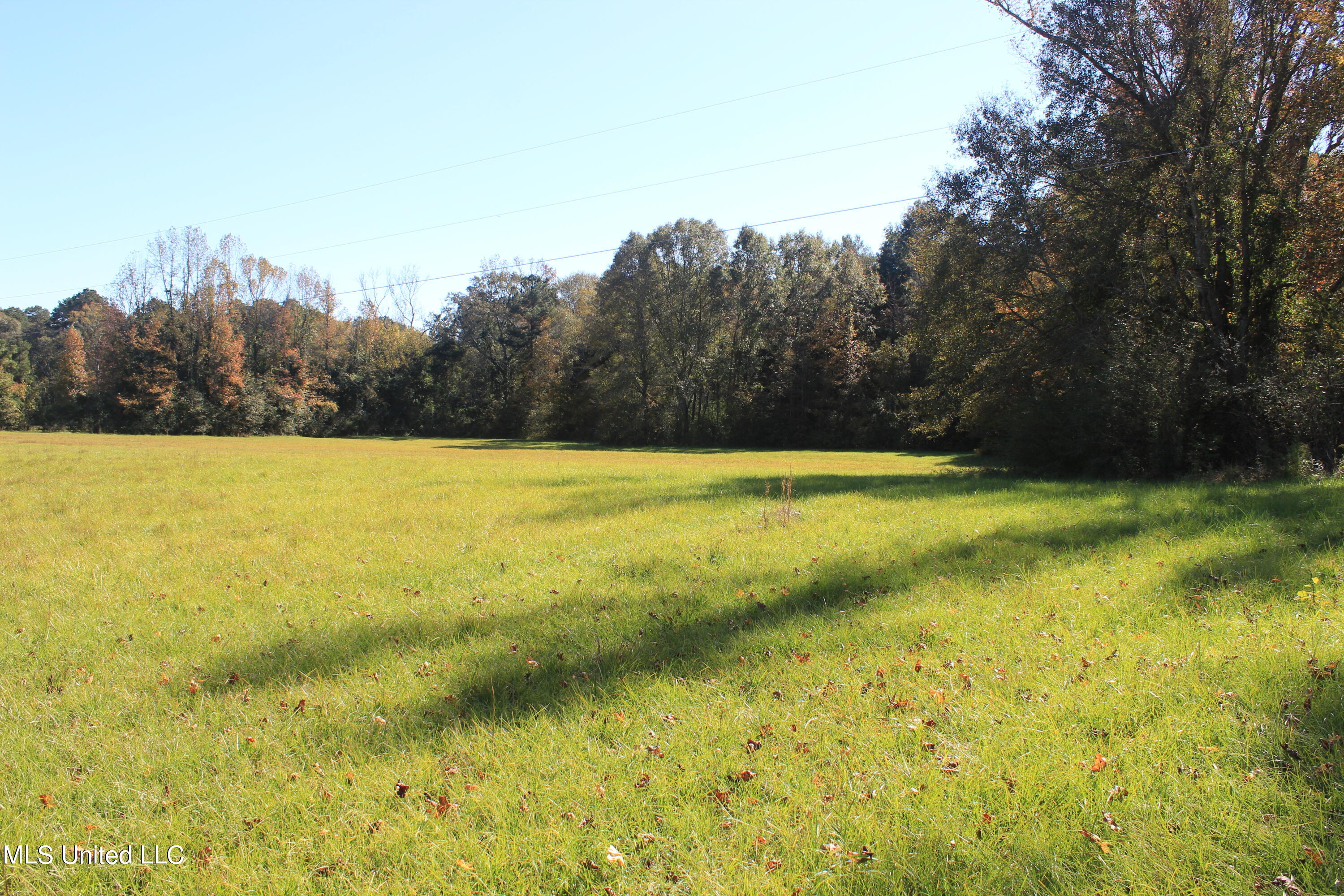 7371 Old Hillsboro Road Forest, MS 39074 - Photo 45 of 67 24.