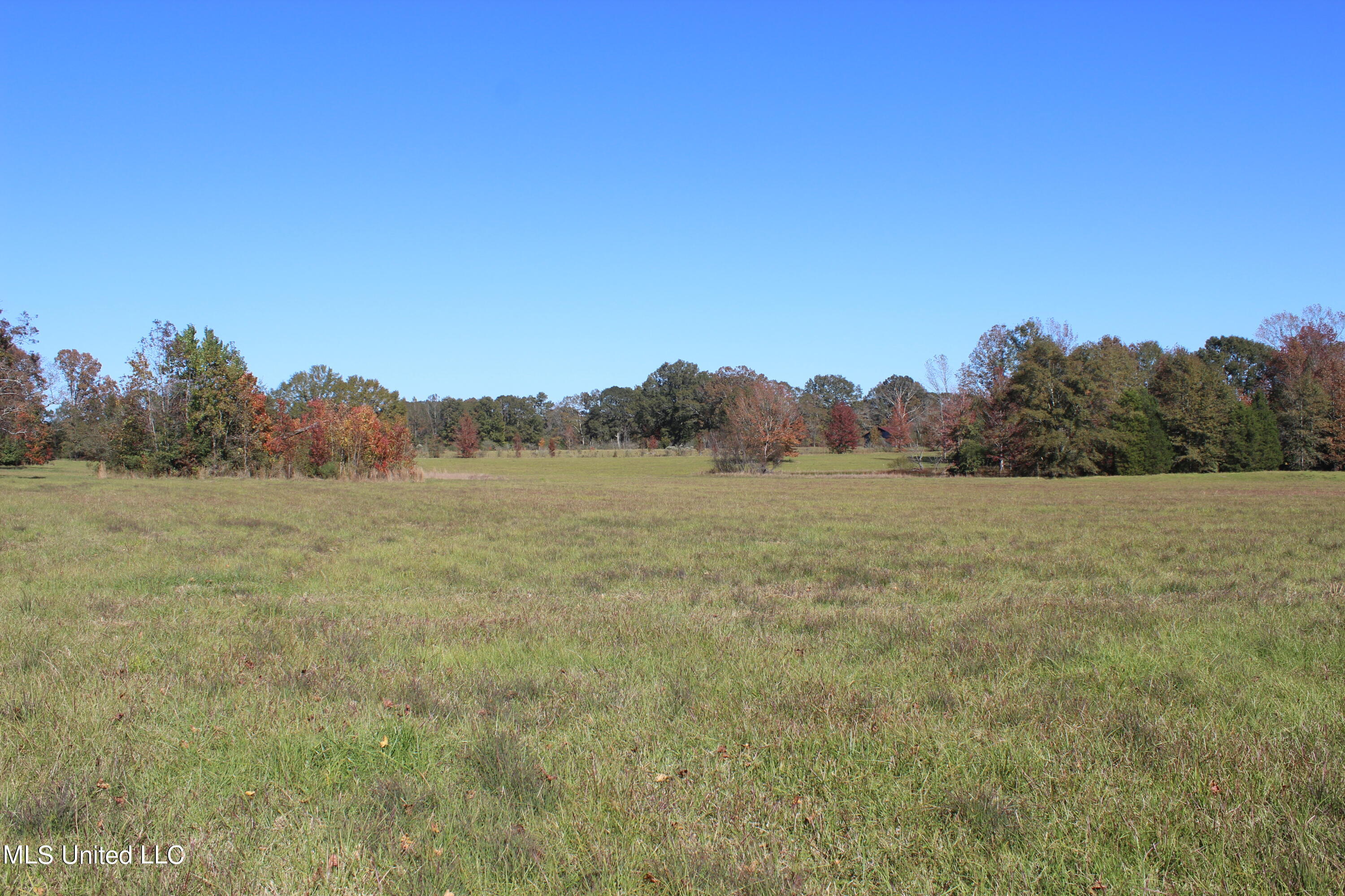 7371 Old Hillsboro Road Forest, MS 39074 - Photo 46 of 67 25.