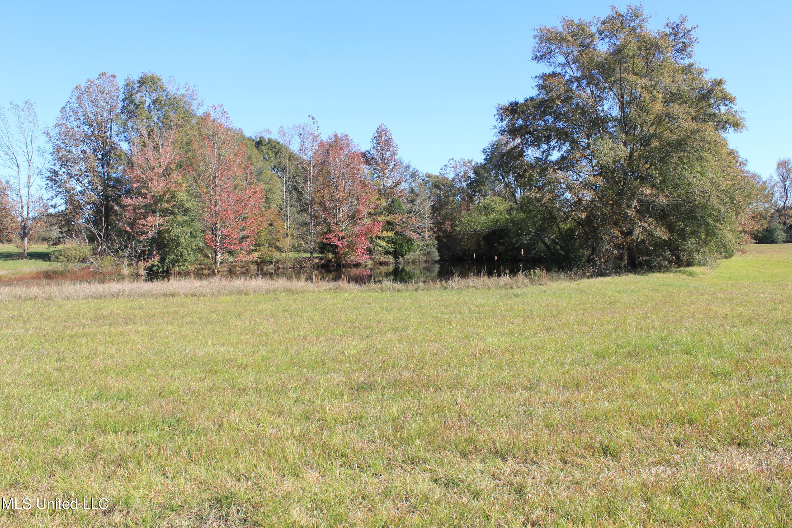 7371 Old Hillsboro Road Forest, MS 39074 - Photo 47 of 67 26.