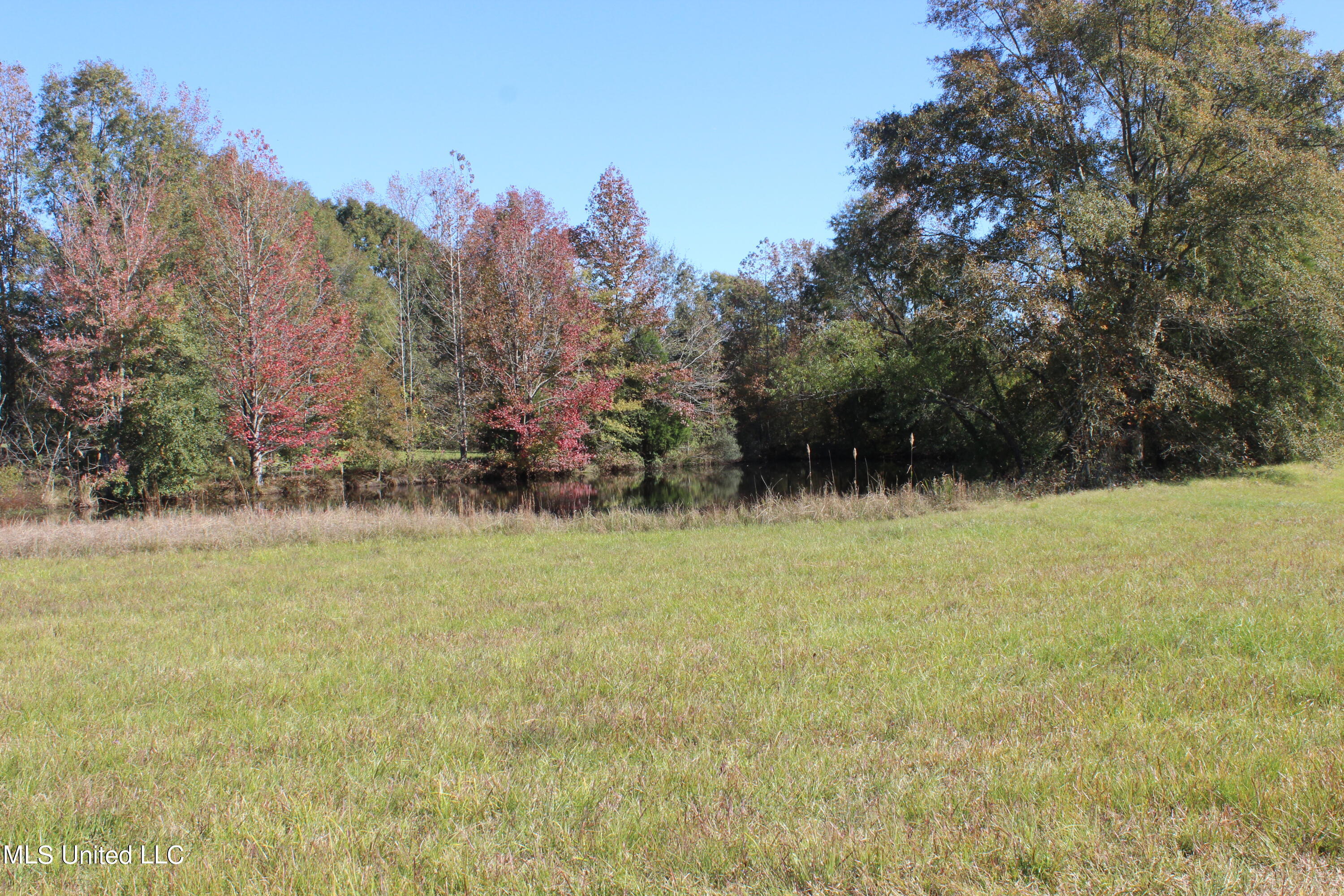 7371 Old Hillsboro Road Forest, MS 39074 - Photo 48 of 67 27.