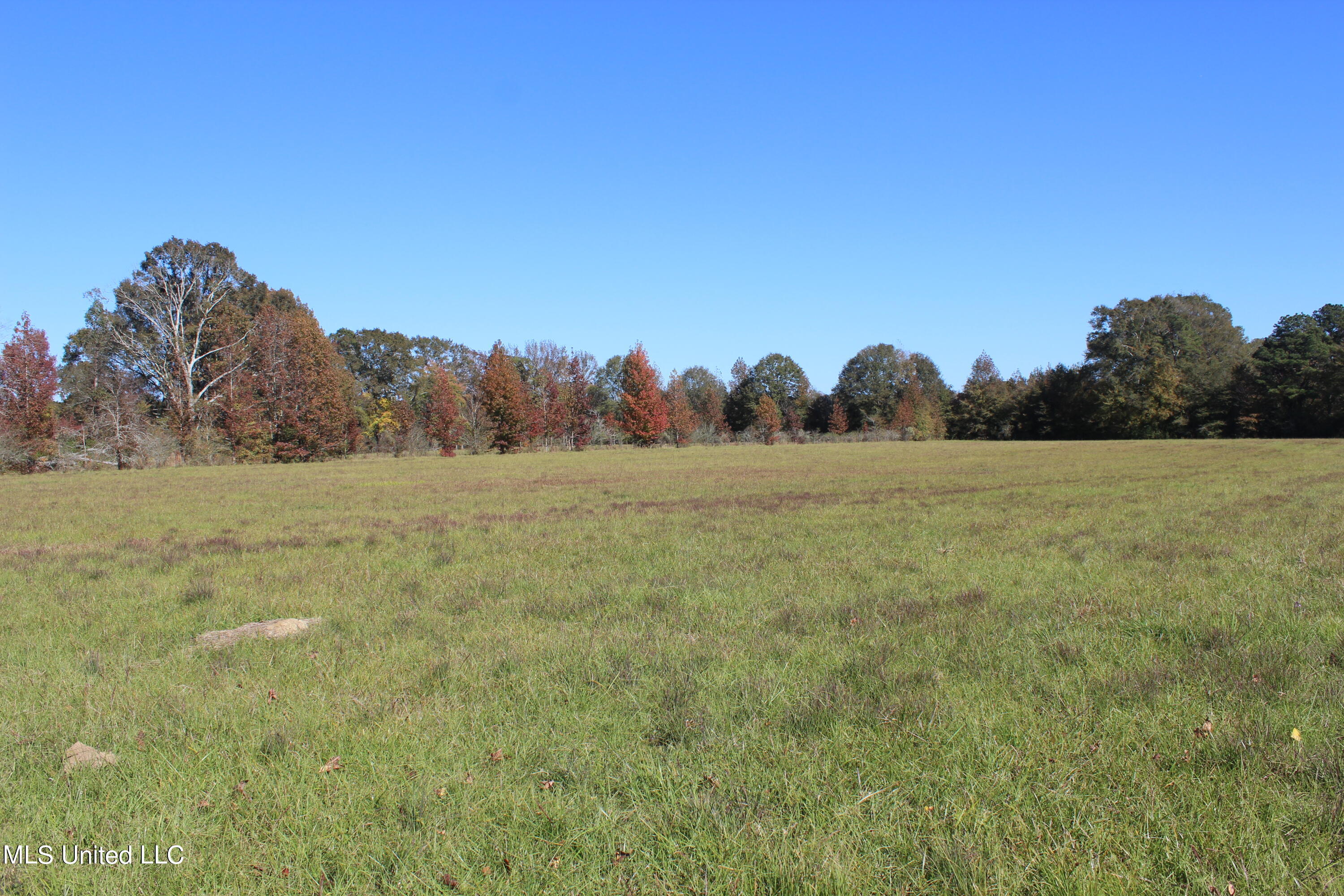 7371 Old Hillsboro Road Forest, MS 39074 - Photo 49 of 67 28.