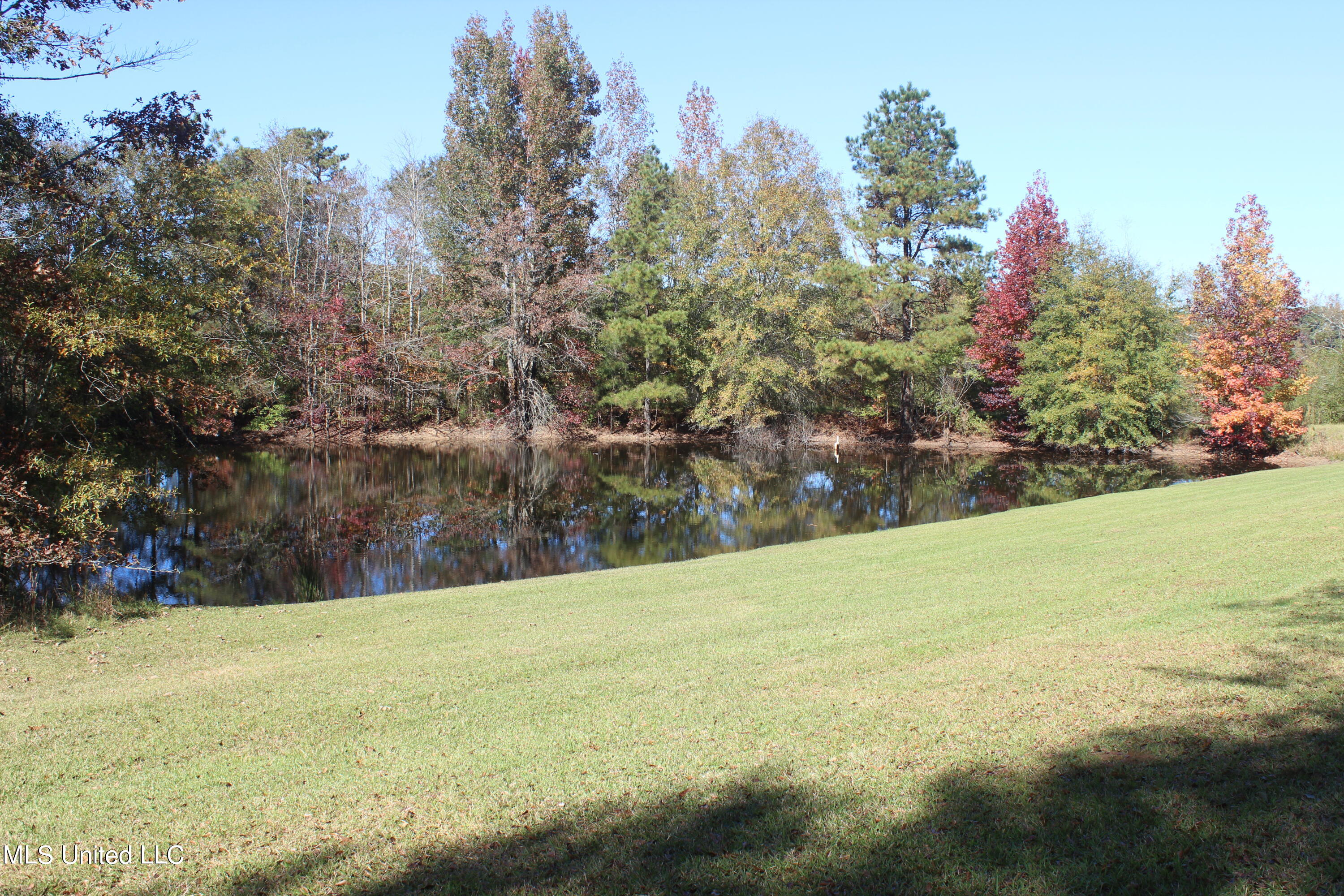 7371 Old Hillsboro Road Forest, MS 39074 - Photo 5 of 67 4.
