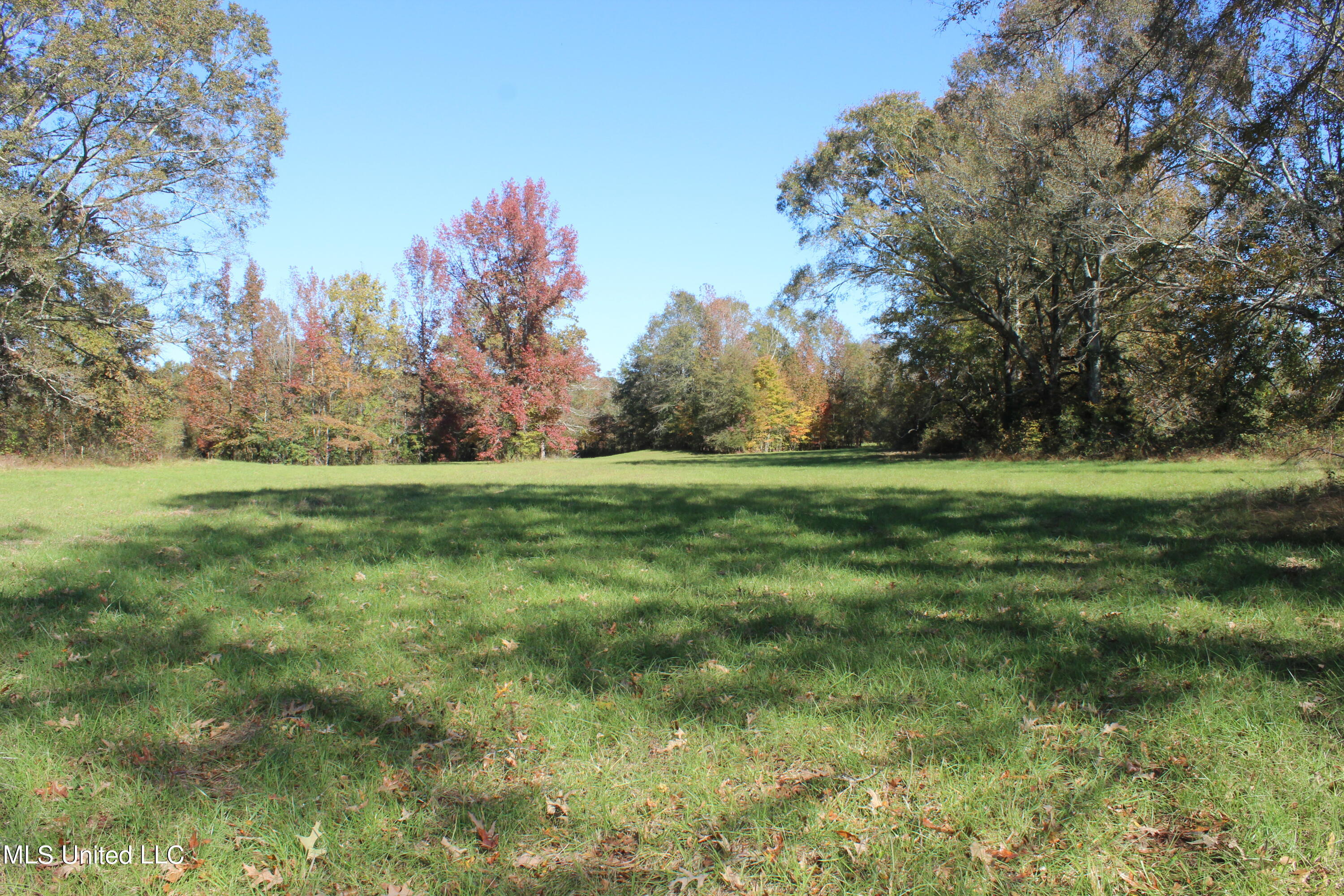 7371 Old Hillsboro Road Forest, MS 39074 - Photo 54 of 67 33.