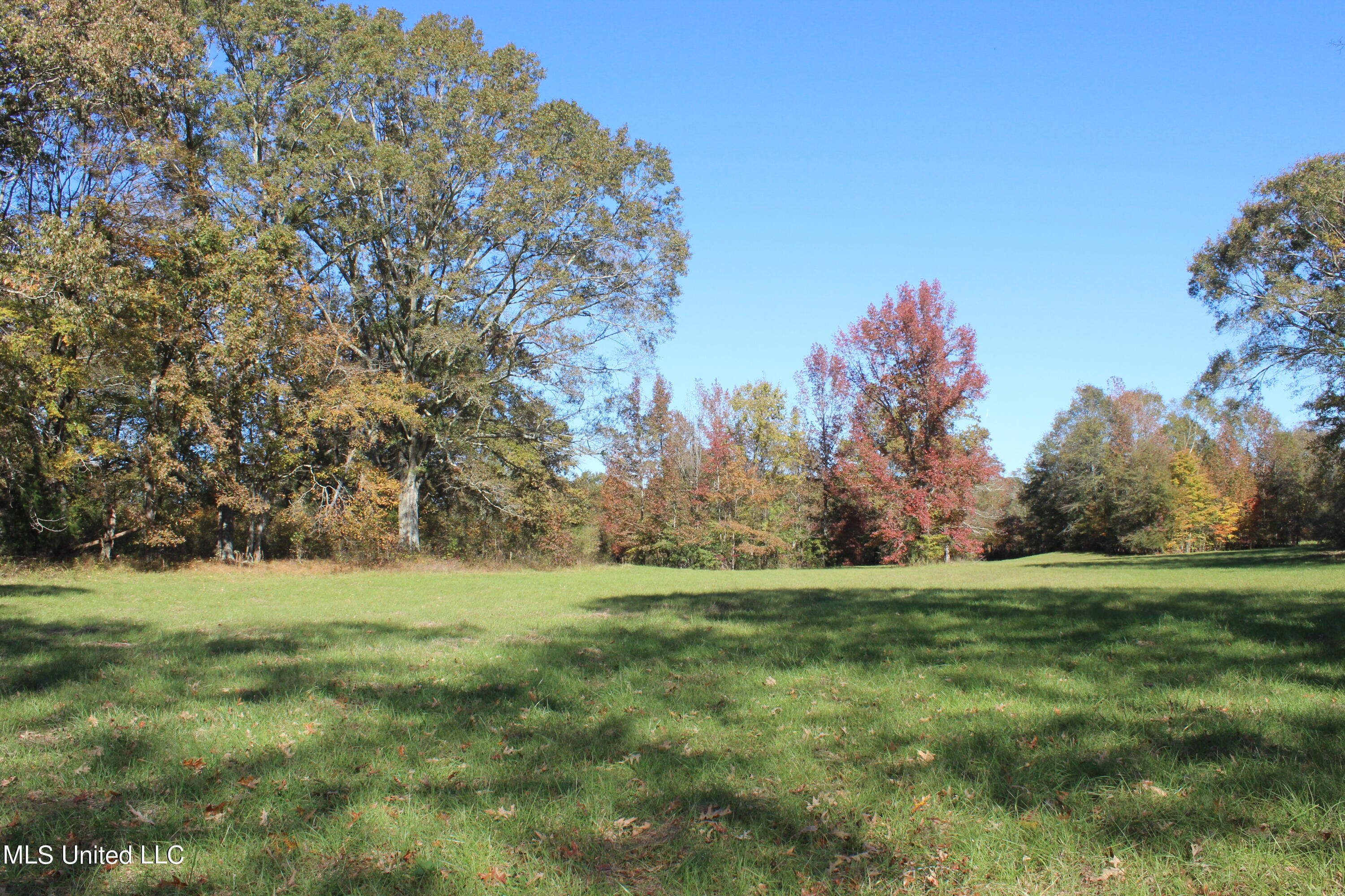 7371 Old Hillsboro Road Forest, MS 39074 - Photo 55 of 67 34.