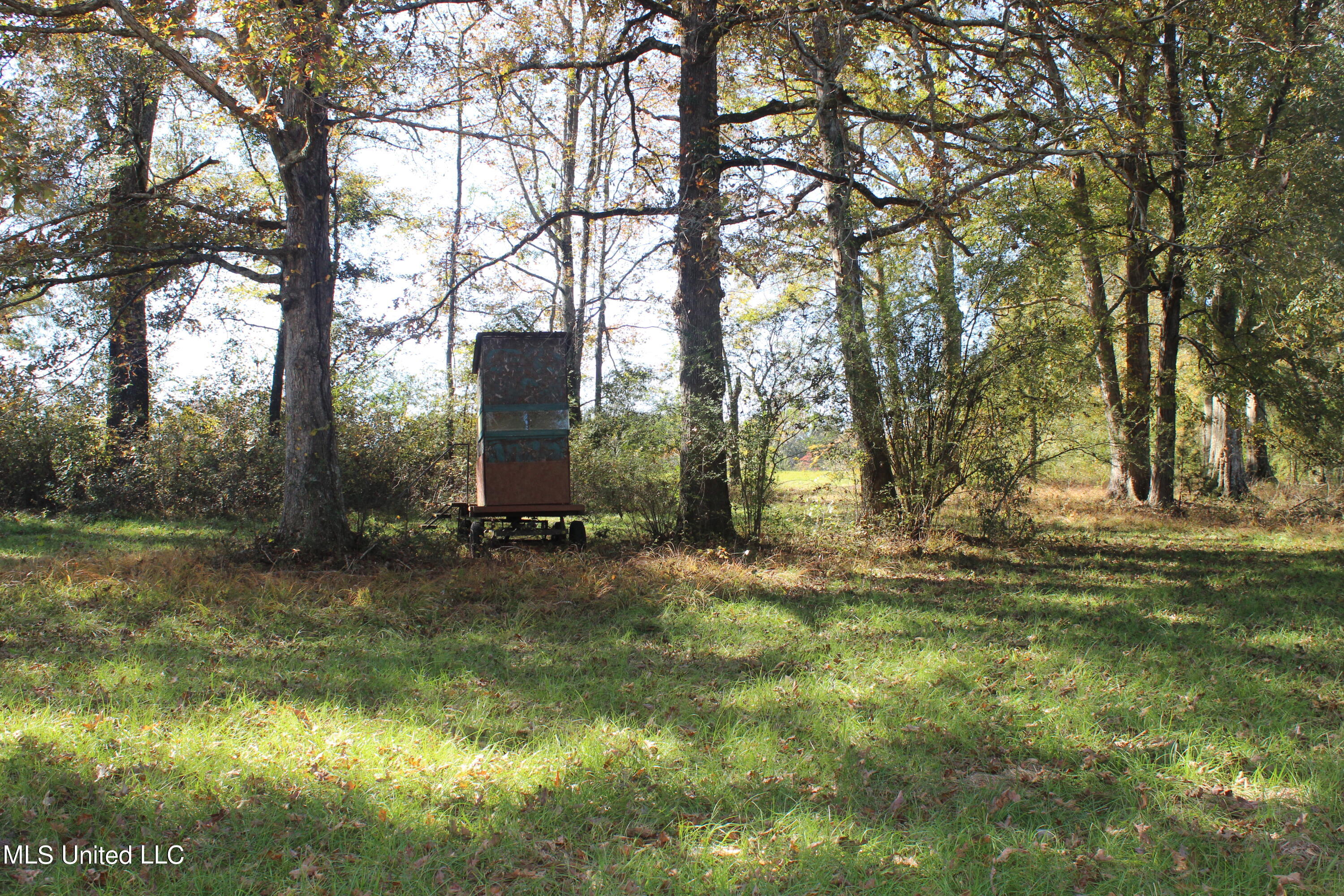 7371 Old Hillsboro Road Forest, MS 39074 - Photo 56 of 67 35.